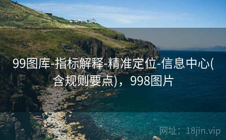 99图库-指标解释-精准定位-信息中心(含规则要点)，998图片