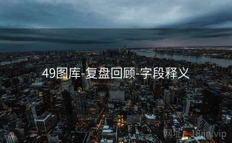 49图库-复盘回顾-字段释义